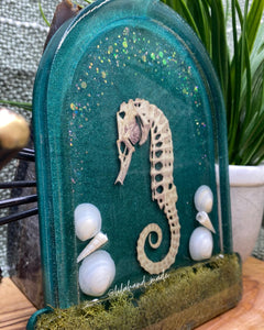 seahorse dome tray