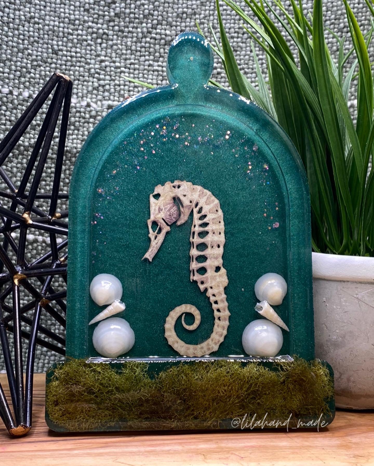 seahorse dome tray